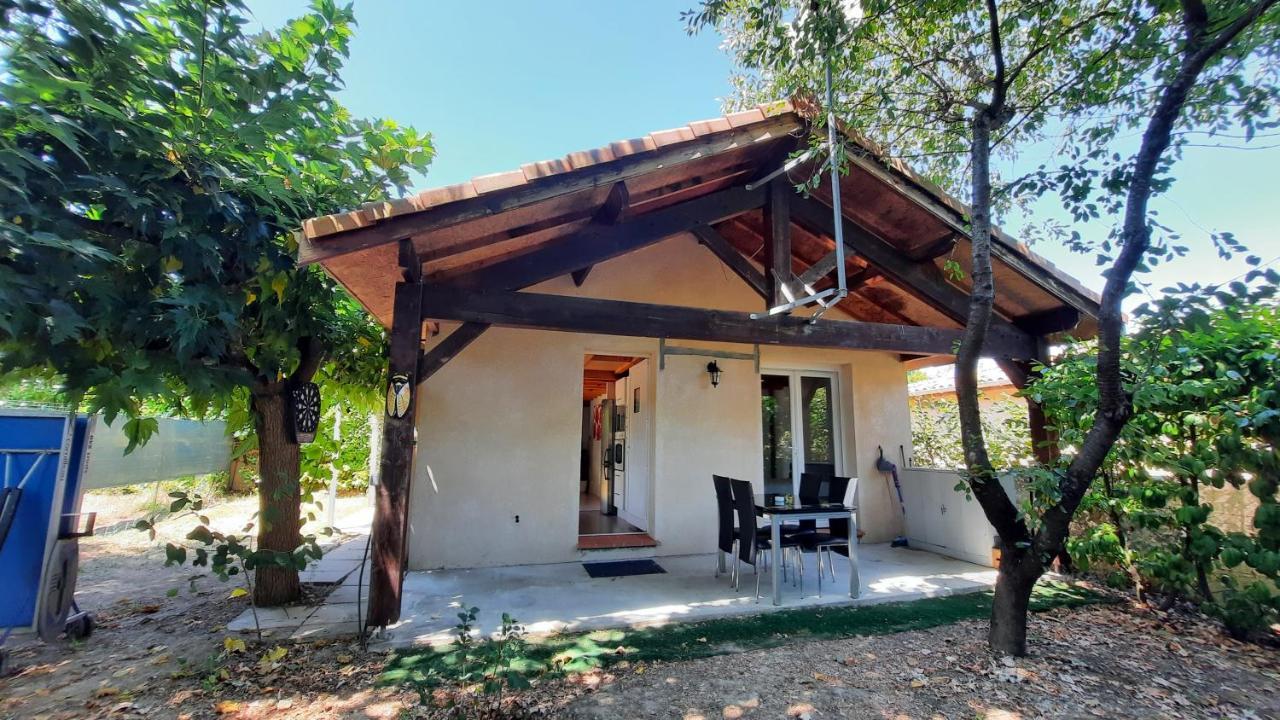 Promo 2-9Juin Gite 6 Personnes Toulouse 7Mn Du Metro 4 Lits Terrasses Gragnague Esterno foto