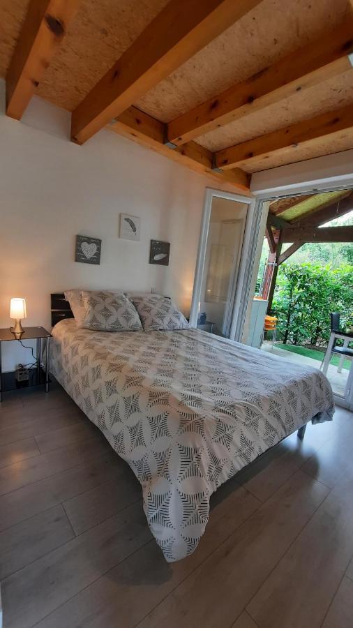 Promo 2-9Juin Gite 6 Personnes Toulouse 7Mn Du Metro 4 Lits Terrasses Gragnague Esterno foto